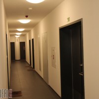 3125_5476362612.jpg